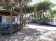 capodannoaroma it 4557-pineta-sul-mare-camping-village 006